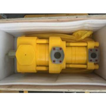 Atos PFGX Series Gear PFGXP-120/D  pump