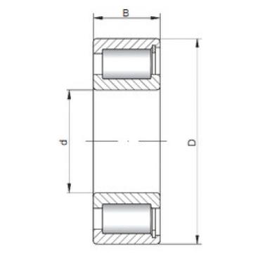 Bearing NCF2206 V ISO