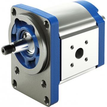 ALP2BK1-D-20-T5-T MARZOCCHI ALP Series Gear Pump