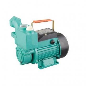 Kawasaki K5V200DPH-1DBR-ZS24-V K5V Series Pistion Pump