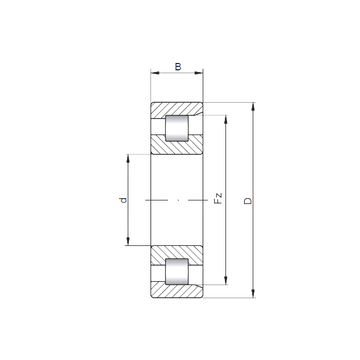 NF206 ISO Cylindrical Roller Bearings